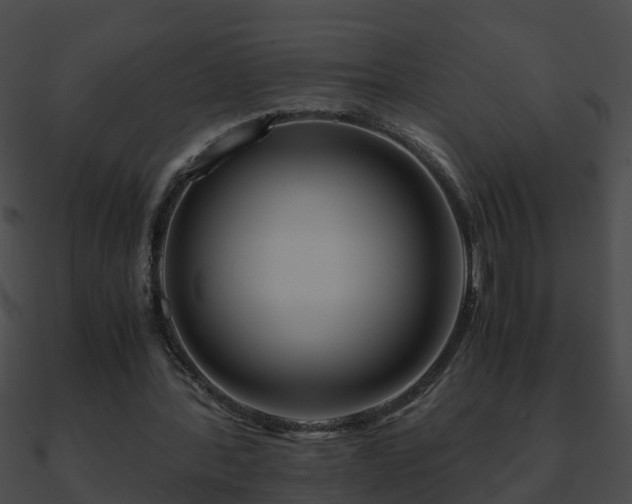 X0000090860388200708030952