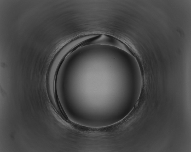 X0000090860389200708030952