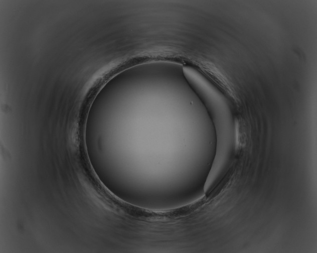 X0000090860392200708030952