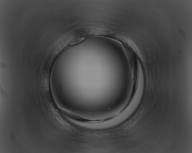 X0000090860393200708030952