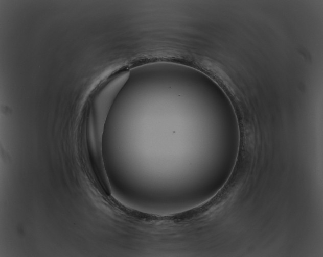 X0000090860395200708030952