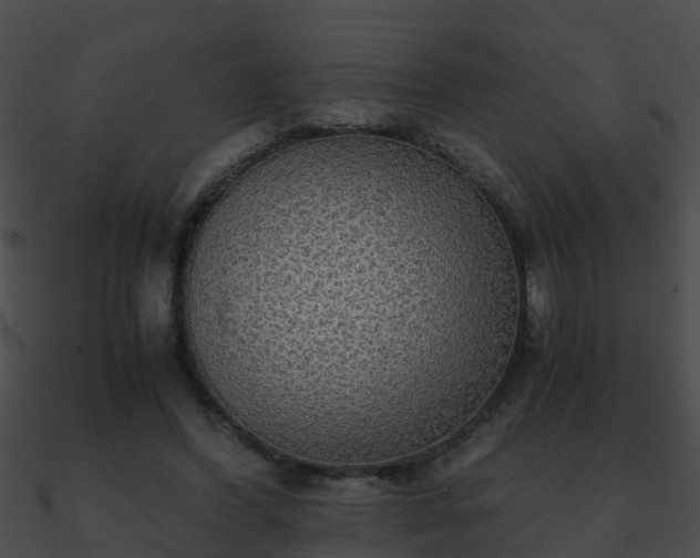 X0000090860396200708030952