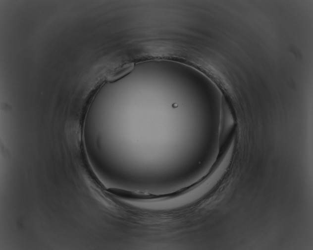 X0000090860397200708030952
