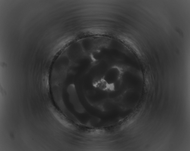 X0000090860398200708030952