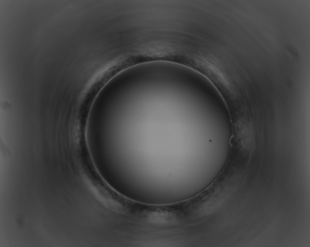 X0000090860400200708030952