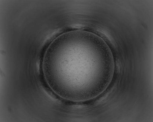 X0000090860404200708030952