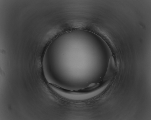X0000090860407200708030952