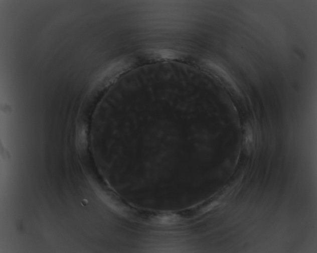 X0000090860410200708030952