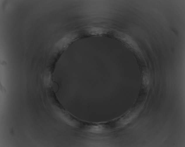 X0000090860411200708030952