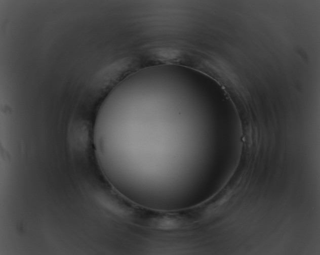 X0000090860412200708030952