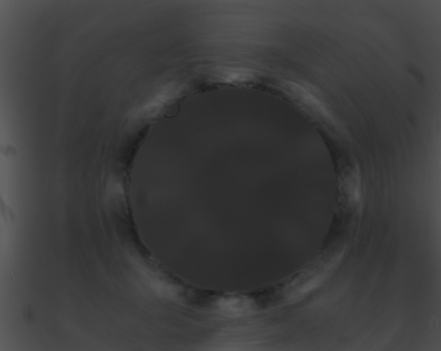 X0000090860415200708030952