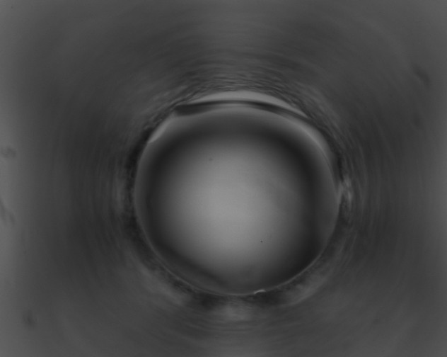 X0000090860416200708030952