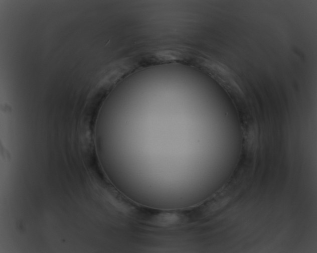 X0000090860418200708030952