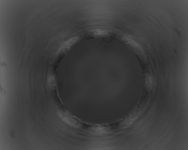 X0000090860419200708030952