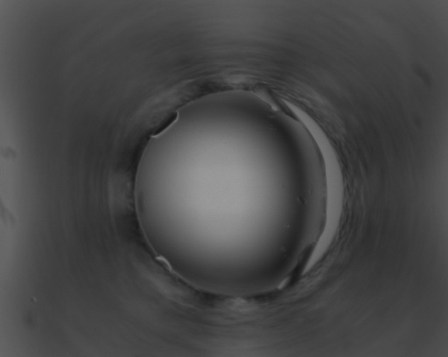 X0000090860421200708030952