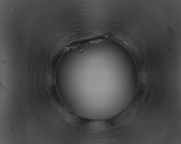 X0000090860422200708030952