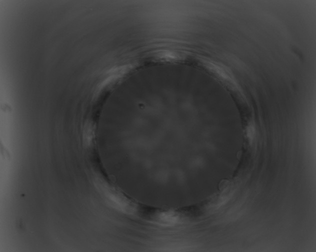 X0000090860423200708030952