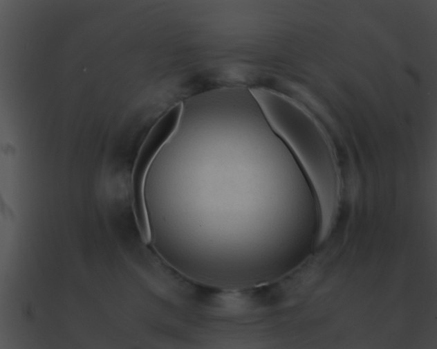 X0000090860425200708030952