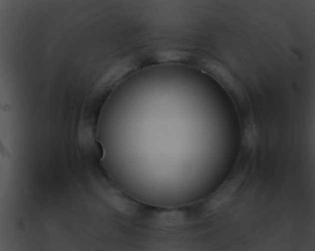 X0000090860426200708030952