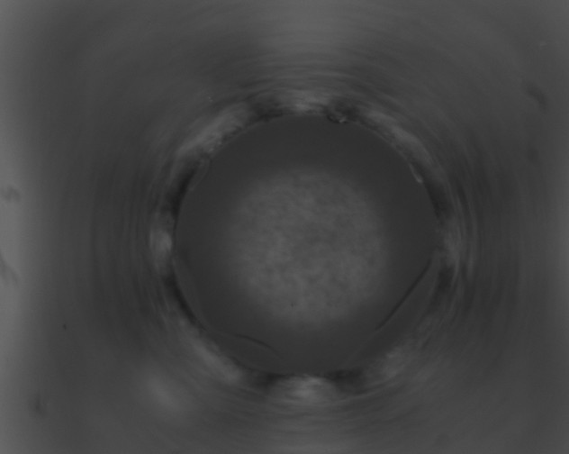 X0000090860427200708030952