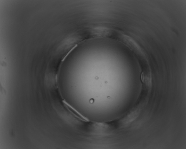 X0000090860429200708030952