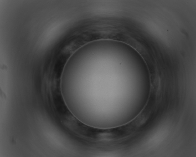 X0000090860430200708030952