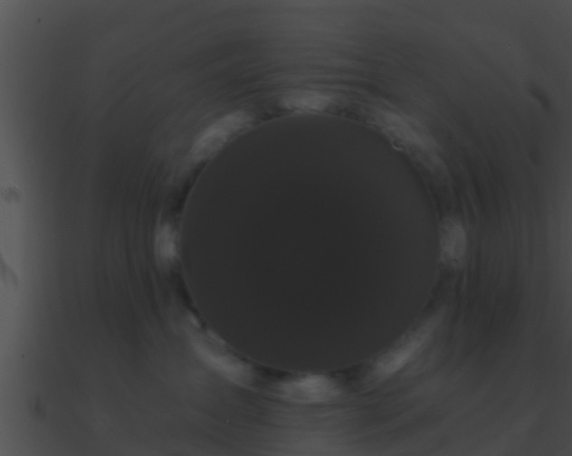 X0000090860431200708030952