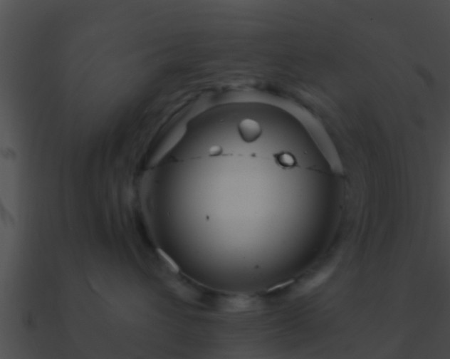 X0000090860432200708030951