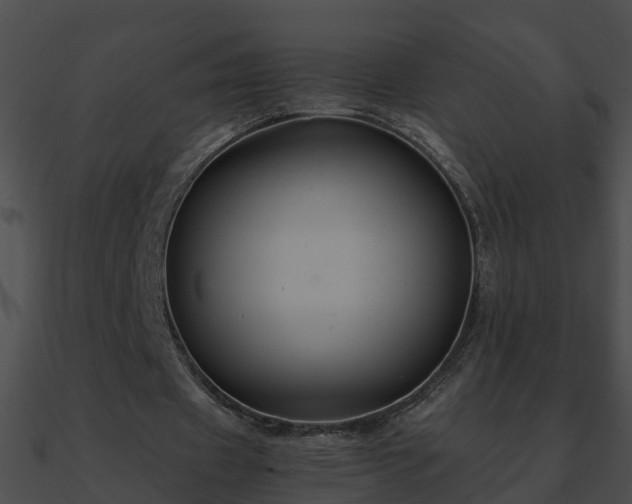X0000090860433200708030951