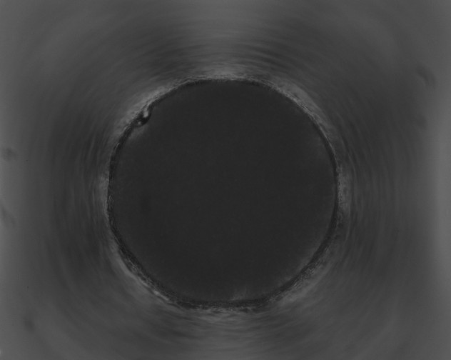 X0000090860434200708030951