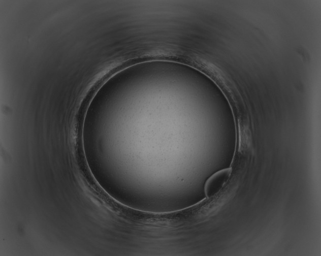 X0000090860435200708030951