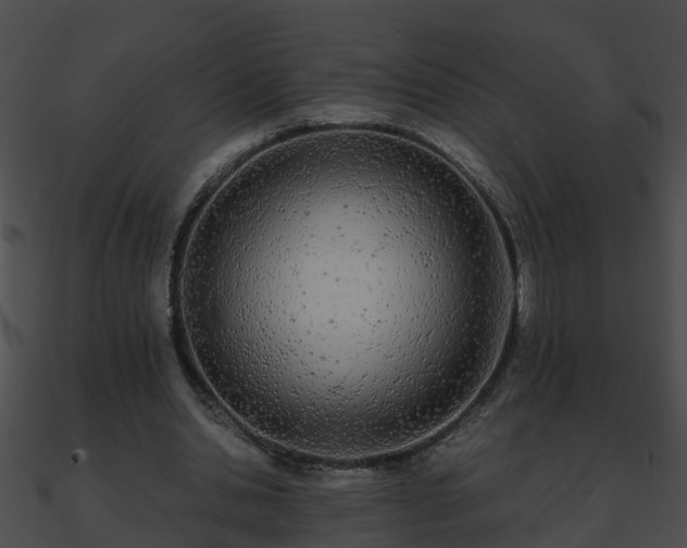 X0000090860438200708030951
