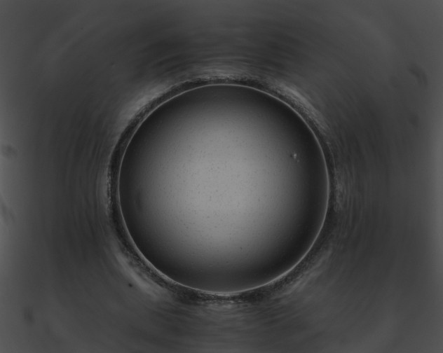 X0000090860439200708030951