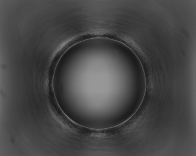 X0000090860440200708030951