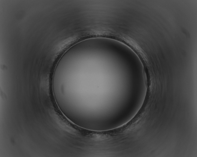 X0000090860442200708030951