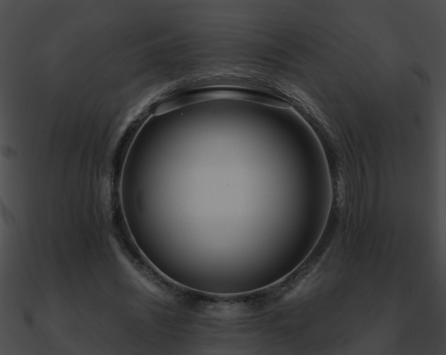 X0000090860444200708030951