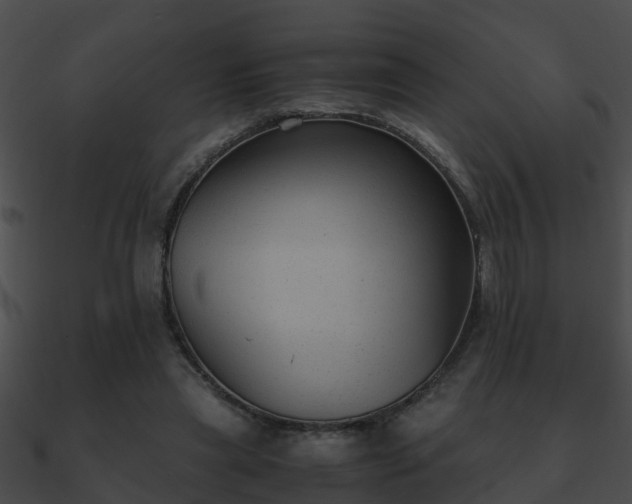 X0000090860445200708030951