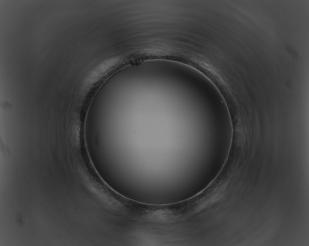 X0000090860446200708030951