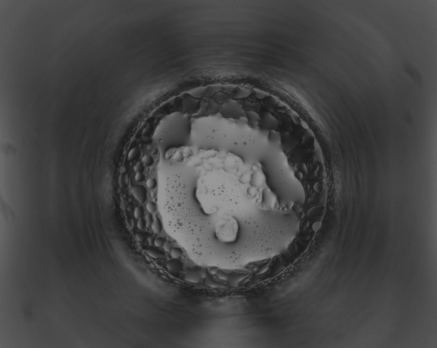 X0000090860447200708030951