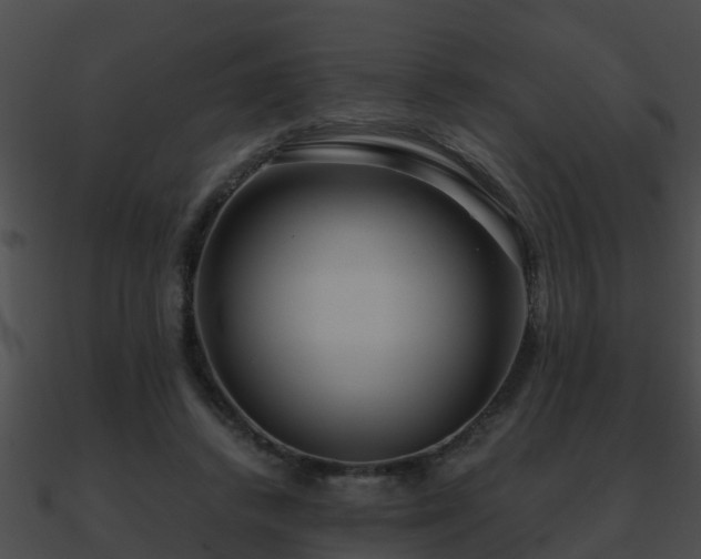 X0000090860448200708030951