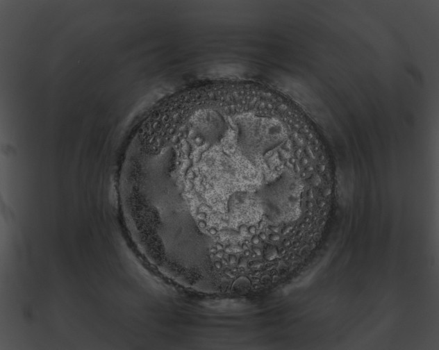 X0000090860449200708030951