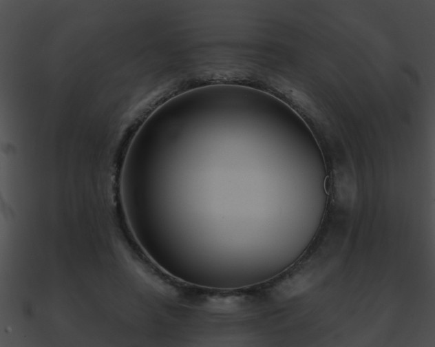 X0000090860450200708030951