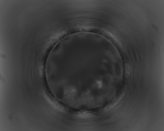 X0000090860451200708030951