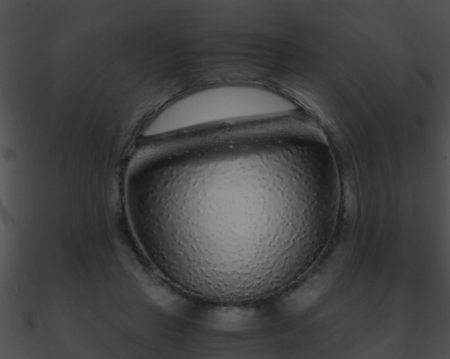 X0000090860453200708030951