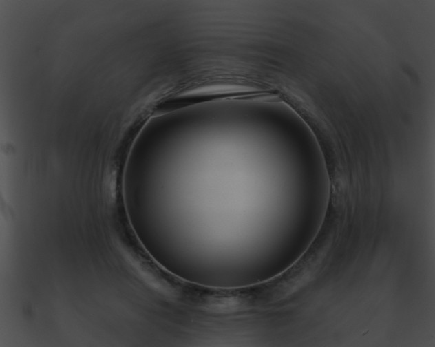 X0000090860454200708030951