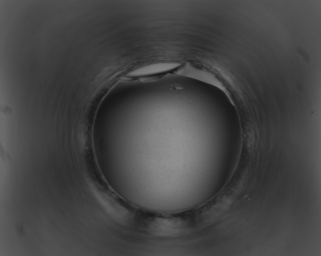 X0000090860455200708030951