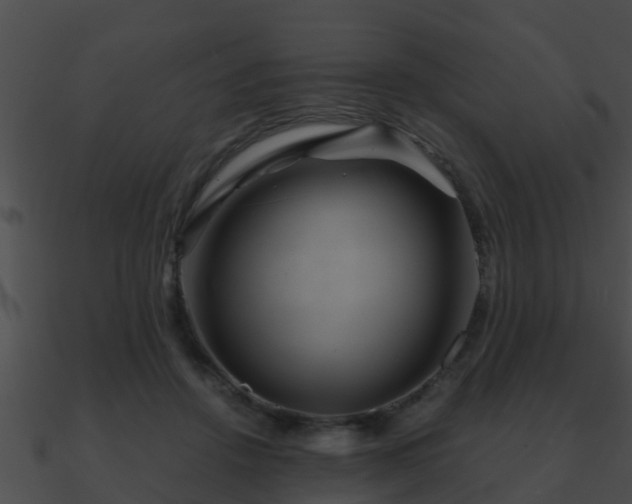 X0000090860456200708030951