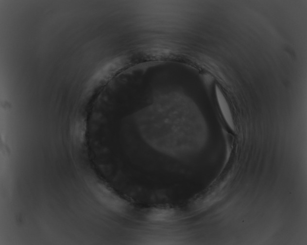 X0000090860458200708030951