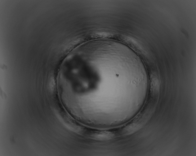 X0000090860459200708030951