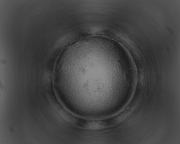 X0000090860461200708030951